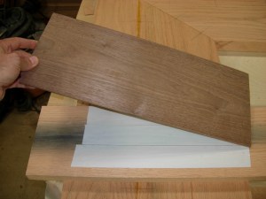 Temporarily mounting the veneer