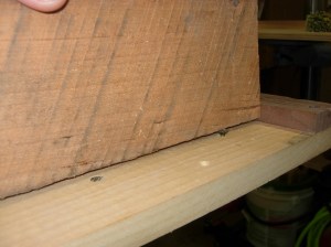 Adjusting the screws to remove the wobble