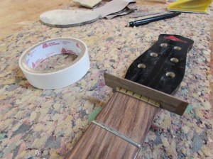 Stick-on shield for the nut