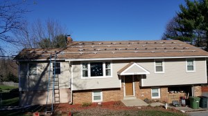 20151120_102139 (1280x720)